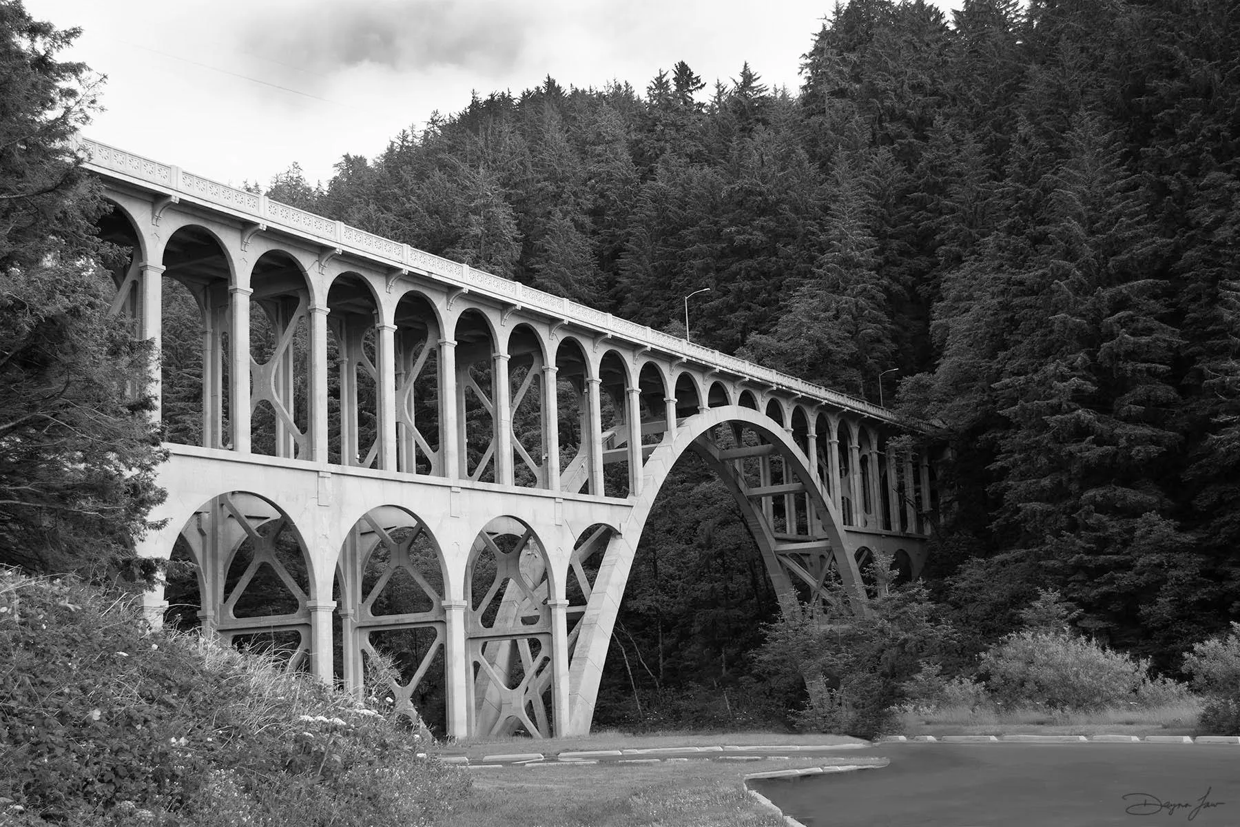 Cape Creek Bridge Postcard
